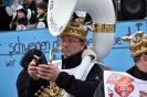 Faschingszug Bad Aibling_45