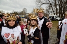 Faschingszug Bad Aibling_4