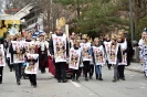 Faschingszug Bad Aibling_79